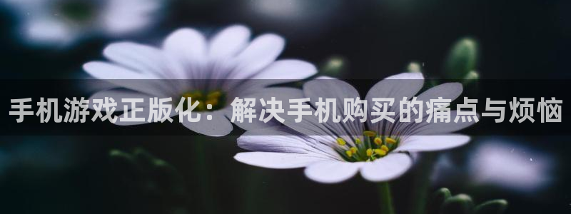 678体育直播官网入口网址：手机游戏正版化：解决手机购买的痛