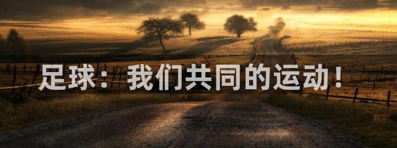  678苹果版下载：足球：我们共同的运动！