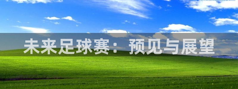 678体育是正规的吗：未来足球赛：预见与展望