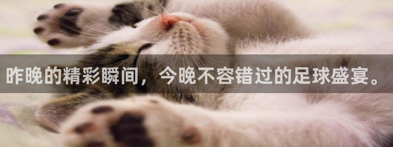 678体育入口：昨晚的精彩瞬间，今晚不容错过的足球盛宴。