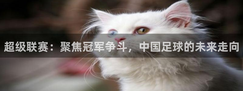  678体育无限期审核：超级联赛：聚焦冠军争斗，中国足球的未来