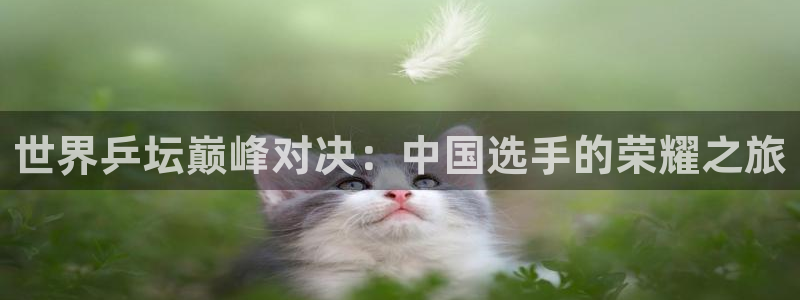 678体育换成什么了：世界乒坛巅峰对决：中国选手的荣耀之旅