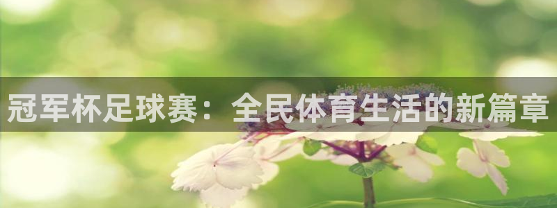 678体育怎么样：冠军杯足球赛：全民体育生活的新篇章