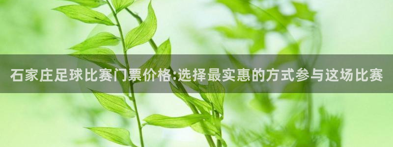 678体育app：石家庄足球比赛门票价格:选择最实惠的方式参