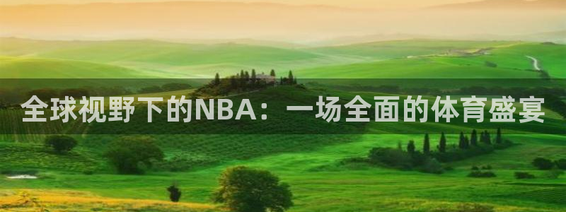 678体育app安卓版下载：全球视野下的NBA：一场全面的体