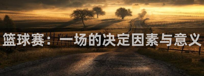  678体育平台改名叫什么了：篮球赛：一场的决定因素与意义