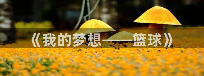  678苹果版下载：《我的梦想——篮球》