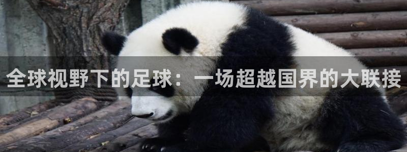 678苹果版下载：全球视野下的足球：一场超越国界的大联接